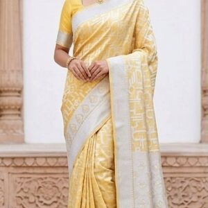 organza saree